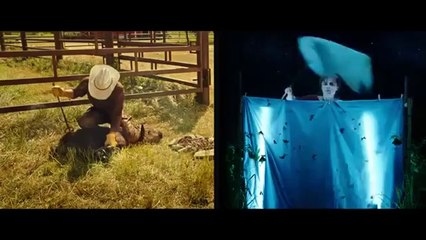 The Young and Prodigious T.S. Spivet Movie CLIP - Insects (2014) - Helena Bonham Carter Movie HD