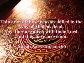 Miracles Witnessed During the Shifting of Mahfuz's Grave