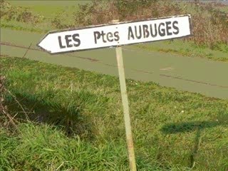 Gouter punk avec okploïde