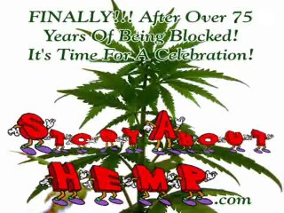 Story About Hemp - It's Celebration Time!