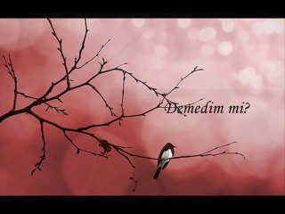 Demedim mi - Özer ÖZEL