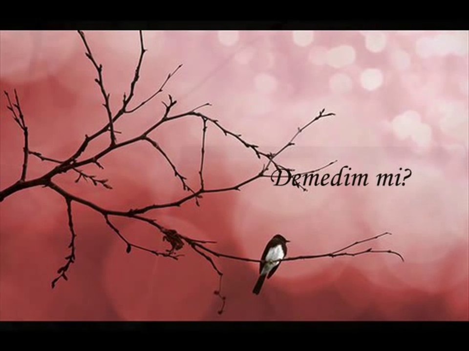 Demedim mi - Özer ÖZEL