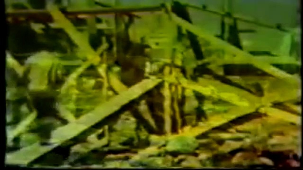 Wilhelm Reich - Man's Right to Know