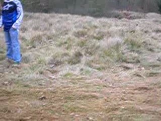 ptit parcourt avc quad et dirt