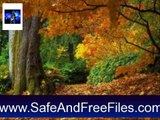 Download Autumn Tree - Animated Screensaver 5.07 Activation Key Generator Free