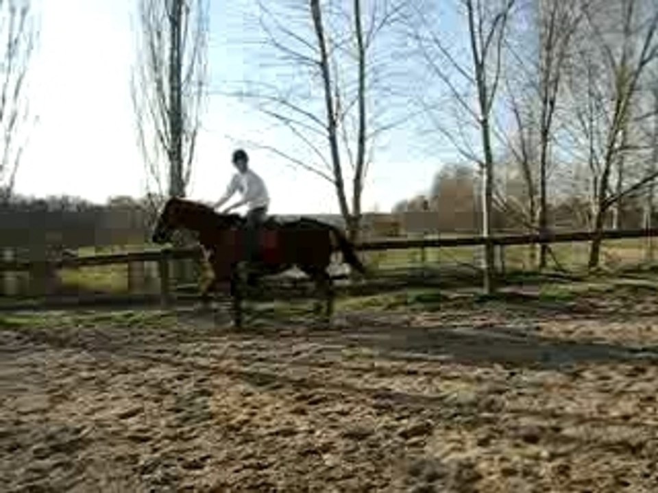 saut