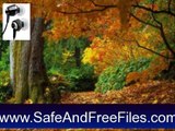 Download Autumn Tree - Animated Screensaver 5.07 Product Code Generator Free