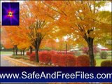 Download Autumn Screens for Windows 8 Activation Number Generator Free