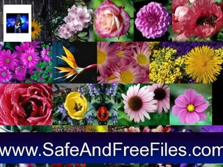Download Bouquets and Blossoms Slide Show 2.5 Activation Key Generator Free