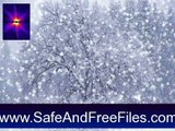 Download Christmas Snow Screensaver 1.0 Activation Number Generator Free