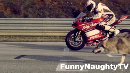 People Are Awesome 2013 (Awesome Edition HD)