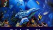 Download Dolphins Underwater Animated Screensaver 4 Keygen Free