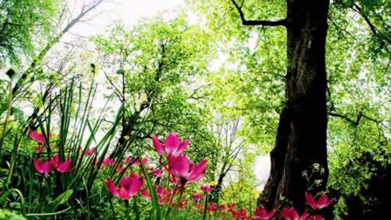 GRUP ABDAL- PINAR BAŞINDAN BULANIR