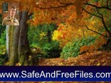 Download Autumn Tree - Animated Screensaver 5.07 Activation Code Generator Free