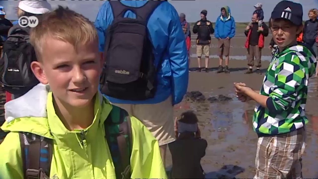 Ostfriesische Inseln - Urlaub in der Natur | Hin & weg