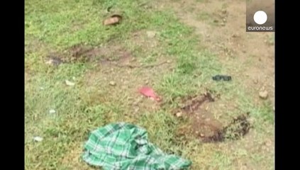 Fallecen al menos 29 personas en un doble atentado en Kenia