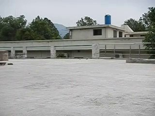 Bozo The Fast Skinny Dog in slow motion