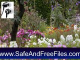 Download Flower Fantasy 3D ScreenSaver 3.02 Product Code Generator Free