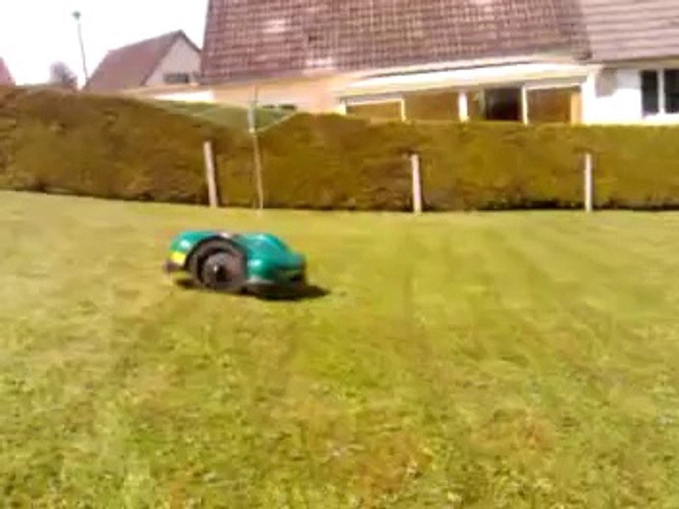 tondeuse en action