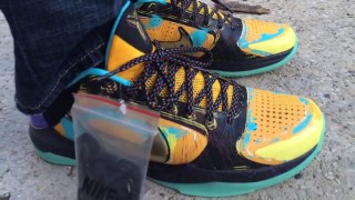 Cheap Kobe Bryant Shoes,Cheap Nike kobe 5 v prelude on feet