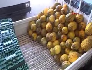 Halde çalışan işçiler birbirine I www.halkinhabercisi.com