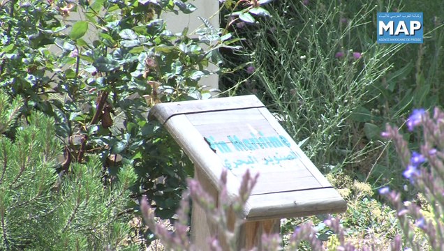 Le Parc national d'Ifrane, un patrimoine naturel riche et diversifié