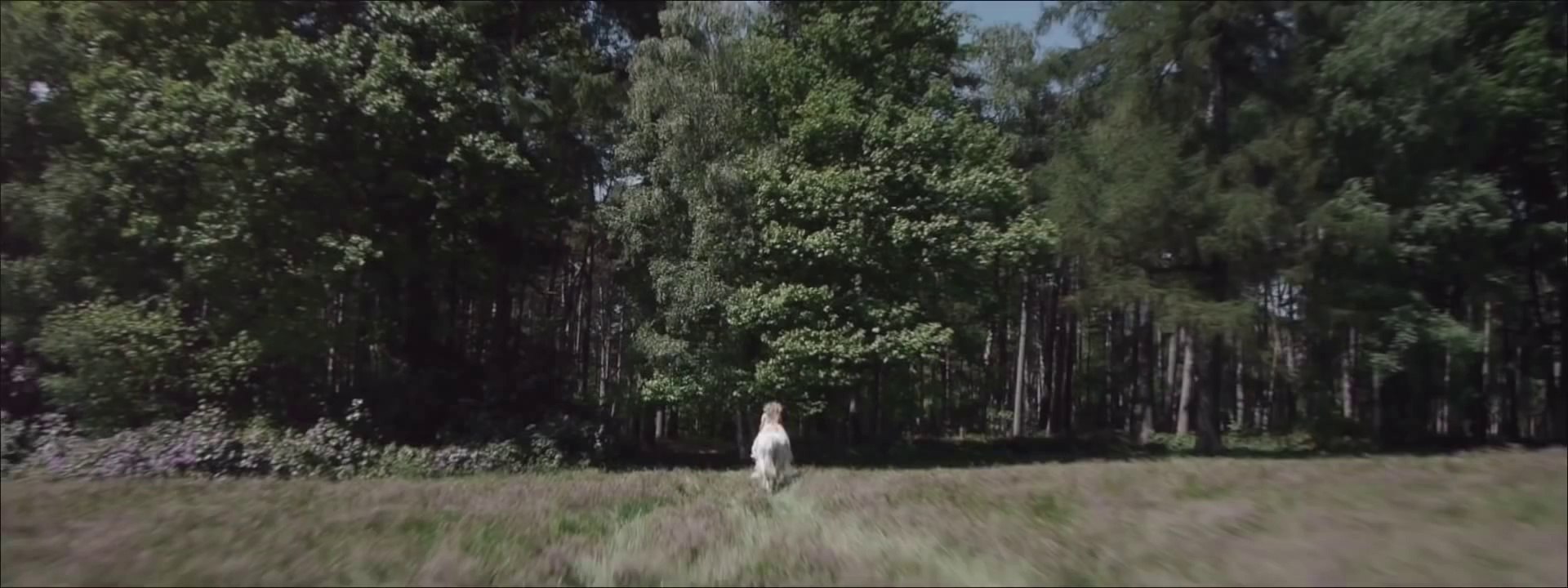 Tomorrowland 2014 official Introduction