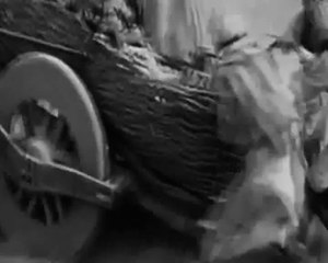 Pakistan Defence - The Potentials of Pakistan