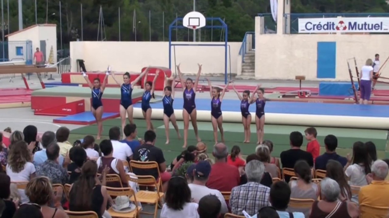 Gala 2014 : Démonstration GAF Festigym