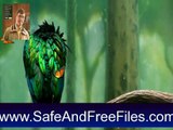 Download Desktop Birds Screensaver 1.0 Activation Code Generator Free