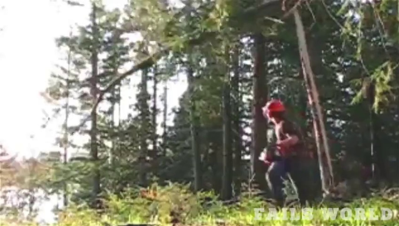cutting a tree fail - Fails World