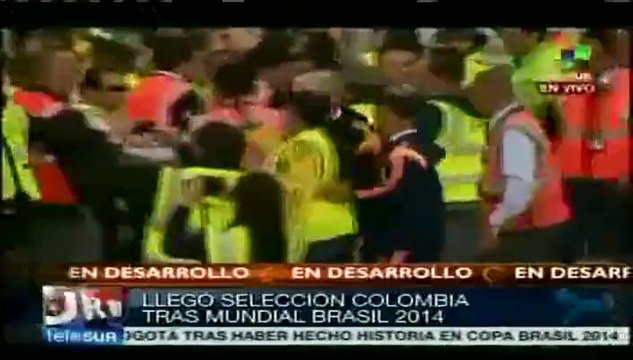 Colombia: rendirán homenaje a la selección de futbol tras mundial 2014