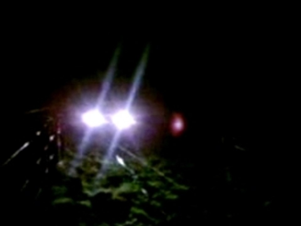 quatrelinette planté