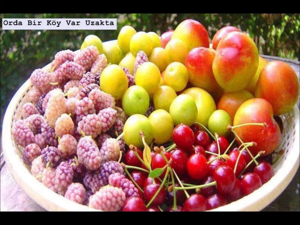 özlediklerimiz .işte benim memleketim