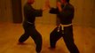 Shotokan Karate Gyaku-Zuki