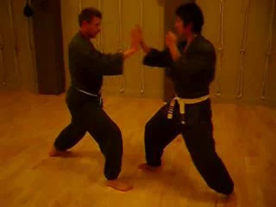 Shotokan Karate Gyaku-Zuki