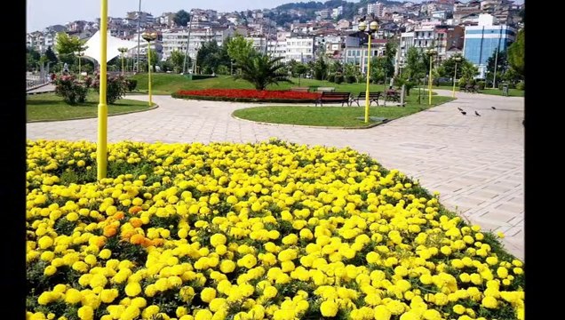 orkestra yıldız slayt