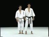 Shotokan Karate Mawashi-Geri