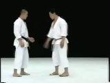 Shotokan Karate Ushiro-Geri