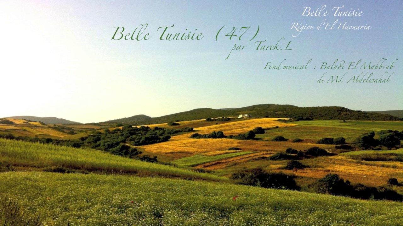 Belle Tunisie 47