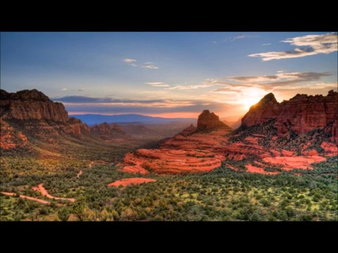 Missing by Vangelis-Cover by Fawzia Begum