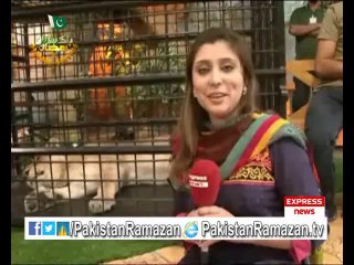 Package 7th Iftari PakistanRamazan Transmission on Express News 6-7-2014