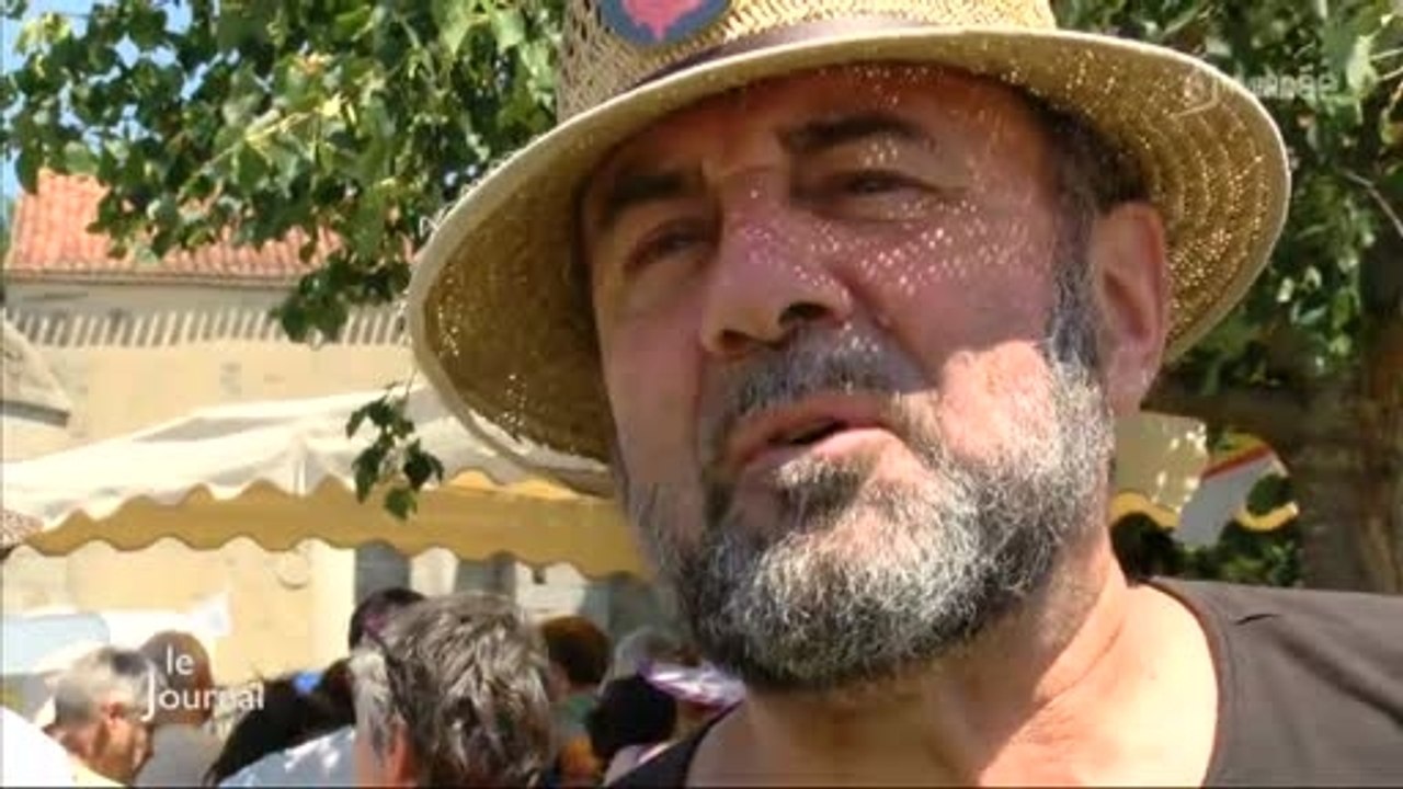 Aéroport de Notre-Dame-des-Landes: Rassemblement d'opposants