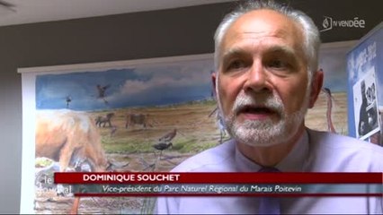 Marais Poitevin : 1er été en tant que Parc naturel régional