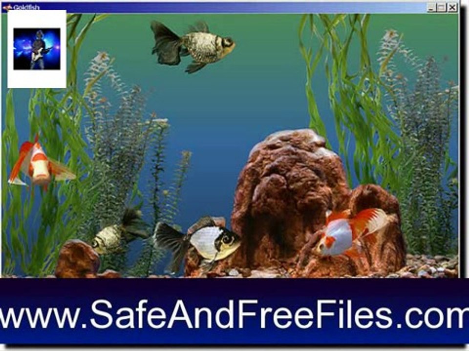 Download Marine Aquarium Time 2.0 Activation Key Generator Free