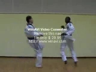 Tae-Kwon-Do - Free Fight
