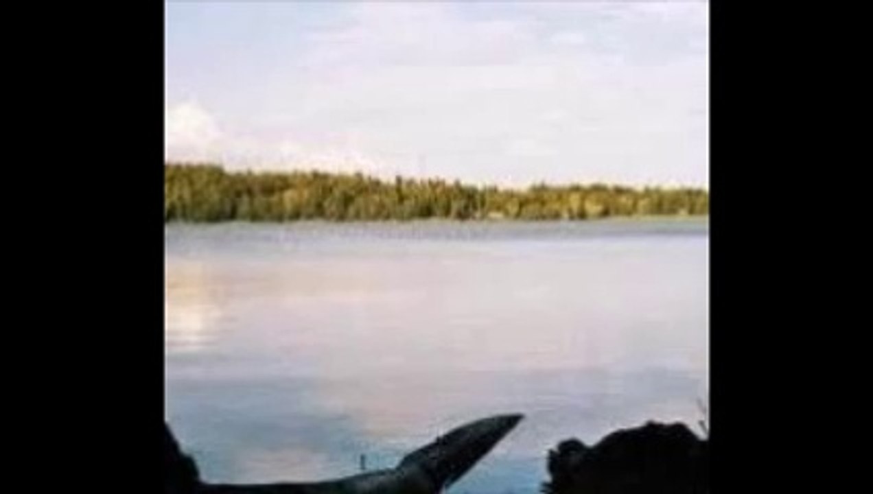 Le mystére du lac bodom