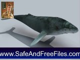 Download Humpback Whales 3D 1 Activation Code Generator Free