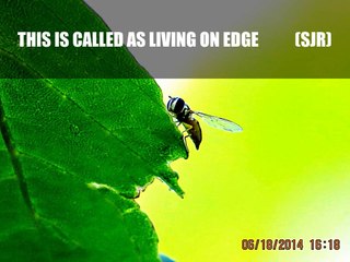 A new Meaning of Living on the Edge
