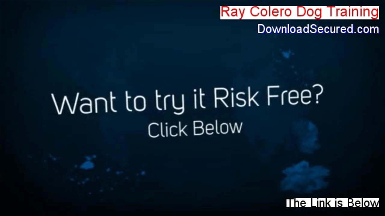 Ray Colero Dog Training Review [ray colero dog training reviews]